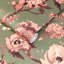 Artemis 9.84' L x 70.8" W Wallpaper Roll-327269325
