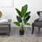 Travelers Palm Artificial Tree