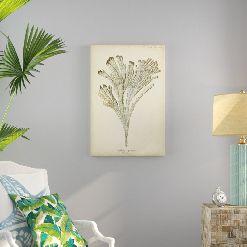 Coral Collection I by Johann Esper - Painting Print, Wrapped Canvas, 91cm H x 61cm W