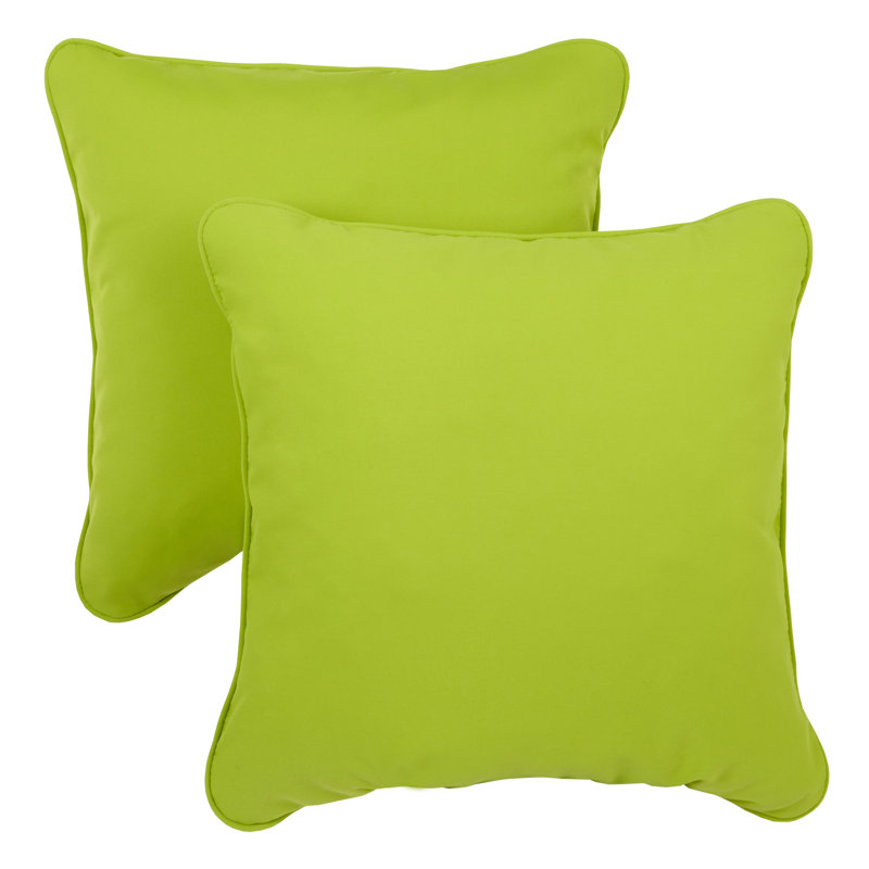 Erika Outdoor Reversible Throw Pillow, 20"H x 20"W, Canvas Macaw