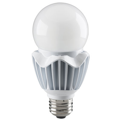 20 Watt Clear LED Bulb