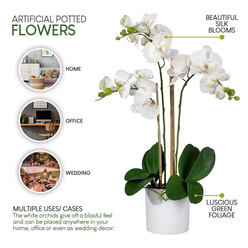 Keira Orchids Floral Arrangement in Pot