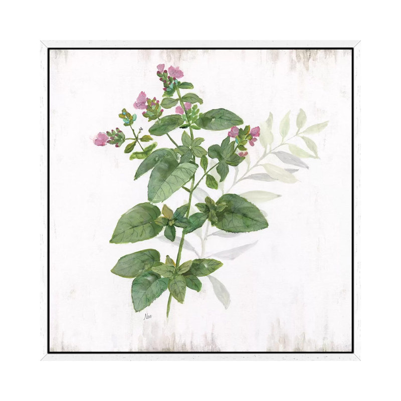 Kitchen Garden I by Nan - Print on Canvas, White Framed, 93.98 cm H x 93.98 cm W