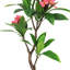Plumeria artificiel 36 po en pot