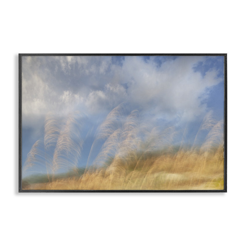 Vagues de Terra, estampe numérique, Karin Connolly, H 12 po x l 18 po, Giclée encadrée noir minuit