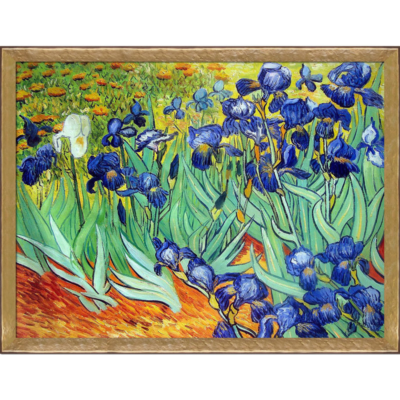 « irises » par vincent van gogh, peinture encadrée, H 40 po x l 52 po x P 2 po, Perle de Vérone