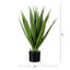 28 po Agave artificiel