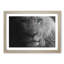 Teal Blue Eyes of a Lion in Abstract - Framed Print-55729733-55729734