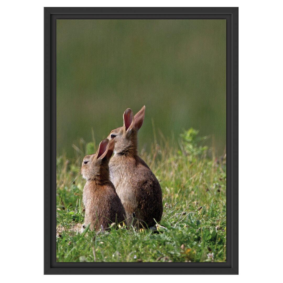 Gerahmtes Wandbild zwei Häschen auf Frühlingswiese