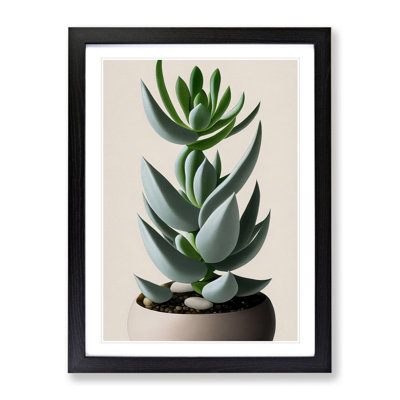 Succulent Plant - Single Picture Frame Print