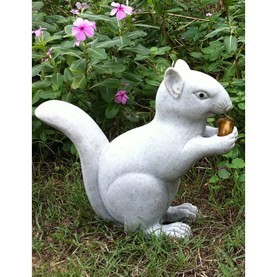 Squirrel Holding Acorn