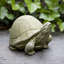 Tortoise Garden Statue-24477926