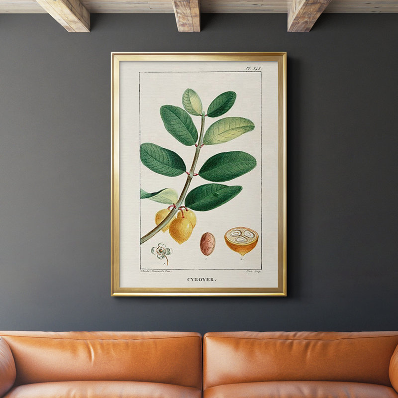 Turpin Tropical Botanicals V, reproduction d'art encadrée, H 24,5 po x l 18,5 po x P 1 po, Or