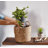 5 Piece Wicker Basket Set