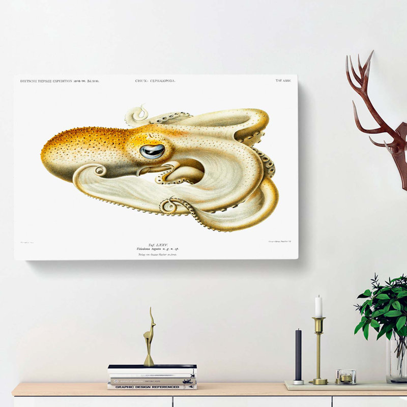 Velodona Octopus by Carl Chun - Wrapped Canvas Painting, 40cm H x 60cm W x 3cm D
