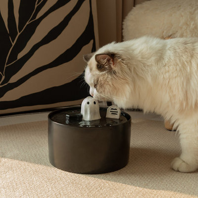 Fontaine d'eau pour chat 50 oz / 1,5 l, bol d'eau électrique pour chat, distributeur d'eau pour chat pour chat à l'intérieur, facile à nettoyer
