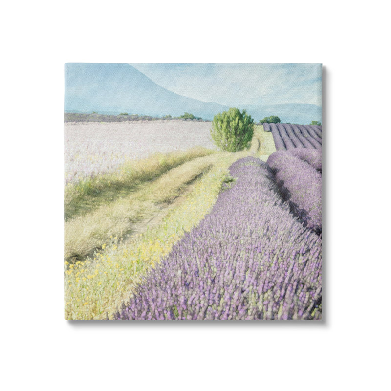 Black Framed Rustic Wood Lavender Fields Wall Art, 24 x 24