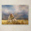 «Lioness After the Storm», impression sur toile tendue Vidur-22069739