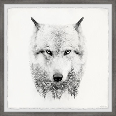 White Wolf - Single Picture Frame Print