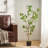 Artificial Pieris Tree-329392501