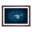 Swimming Dolphin - Picture Frame Painting Print-55617165-55617164