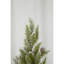 Set Of 2, 13.5" Christmas PVC Tree On Wood Base With Snow
