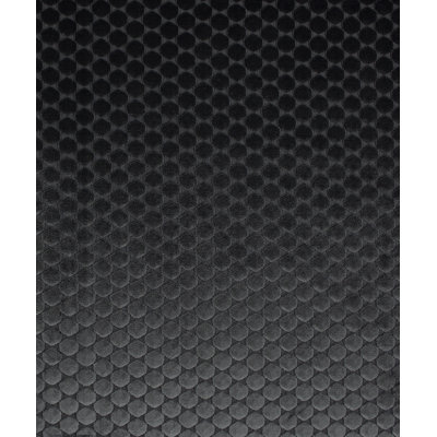 Ditty Fabric