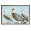 « molle brown pelican iii » par paul cezanne-photo, reproduction d’art encadrée-1211758165-1211758162