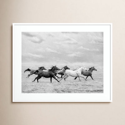 Horse Run I Photo Print by PHBurchett