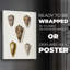Cone Shell Collection VI - Impression sur toile seulement - NON-CADRE