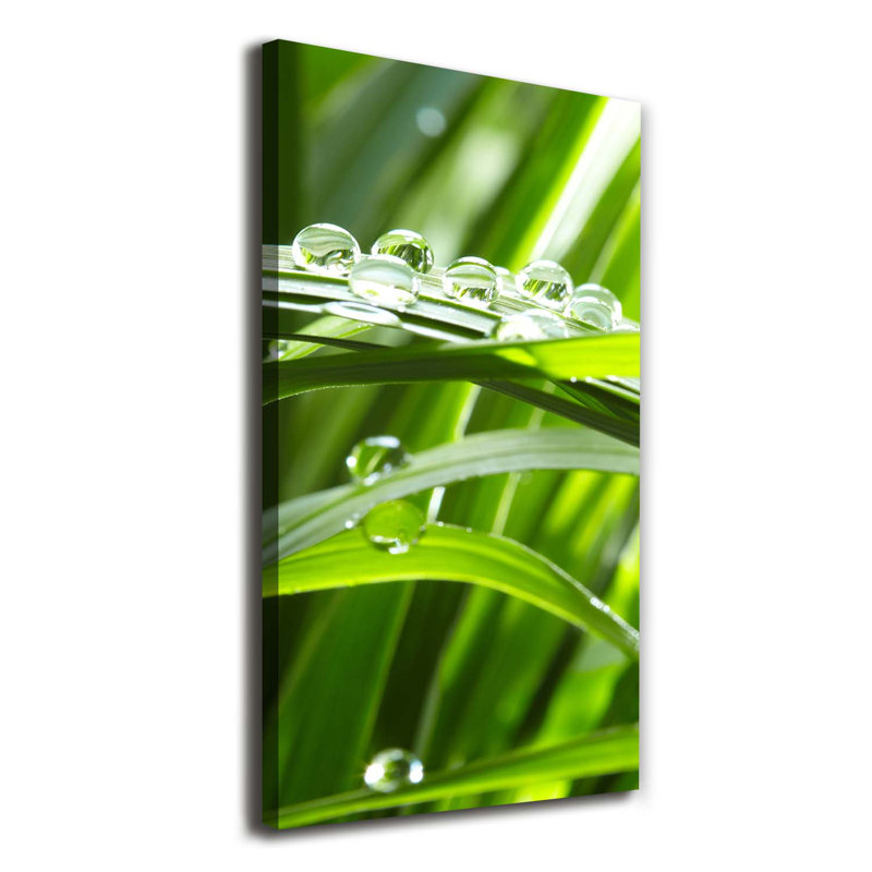 Blades of Grass - Wrapped Canvas