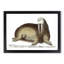 Arctic Walrus by George Shaw - Picture Frame Painting-57844461-57844462