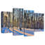 Forêt de bouleaux Harnek en hiver