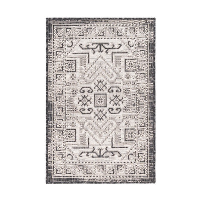 Alucard Indoor / Outdoor Rug
