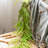 39.7 " H Faux Fern Branch-478855643