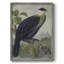 Reproduction encadrée vintage avec imprimé animalier XXXV - bois massif-1039566536