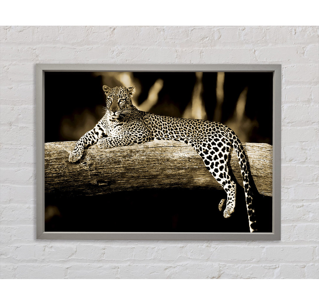 Leopard Lazy Days - Einzelner Bilderrahmen Kunstdrucke auf Leinwand