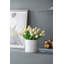 Jardinière en céramique D6.3X6.3 "-1586701368