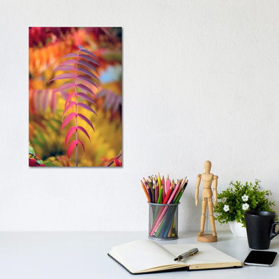 DOF And Leaves by Philippe Sainte-Laudy - Wrapped Canvas Print