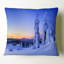 Coussin Schafer-277498244-277498249
