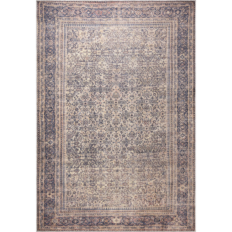 Devendr Oriental Indoor Rug, Rectangle 4' x 6'
