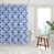 Bleuet des champs