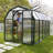 Palram - Canopia EcoGrow 2 - 6' W x 10' D Walk-In Hobby Twin Wall Polycarbonate Resin Frame Greenhouse Kit with Roof Vent - Green-90988256
