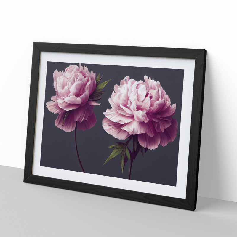 Tranquil Peony Flowers - Single Picture Frame Print, Black Framed, 46cm H x 64cm W x 2cm D