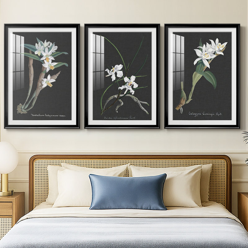 Orchidée sur ardoise I - reproduction sur mesure encadrée de qualité supérieure - 3 pièces, H 19 po x l 27 po