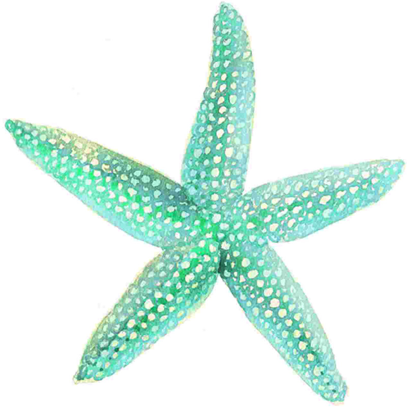 Starfish - Wrapped Canvas Print, 12" W x 12" H