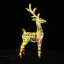 Renne de Noël lumineux