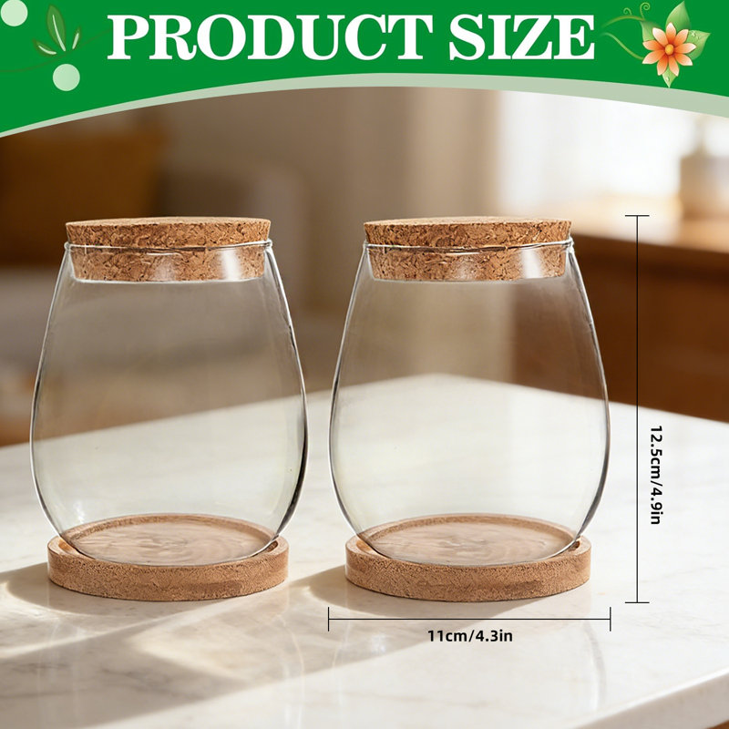 2-pack Water Drop Glass Hydroponic Vase With Wooden Stand & Separated Tray, Desktop Propagation Station, Plant Terrarium For Home Office Decor