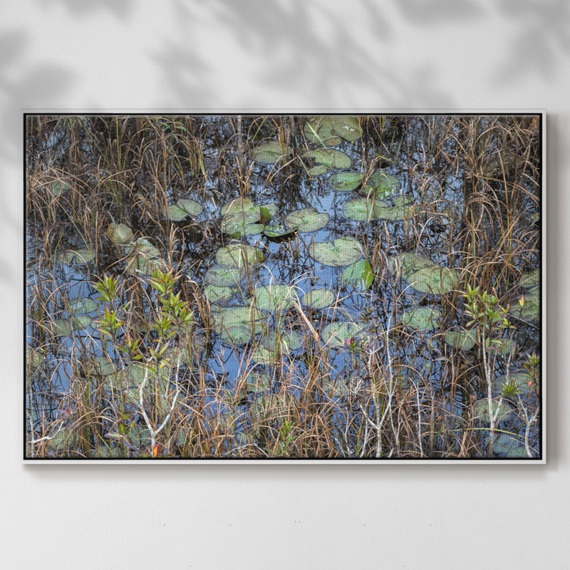 The Marsh - reproduction sur toile avec cadre flottant, H 17 po x l 25 po x P 2 po, Blanc
