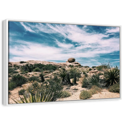 Cactus du désert
